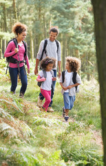 Family Group Hiking In Woods Together