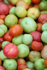 A close up of red and green riping tomatoes