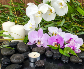 Fototapeta na wymiar Wellness: Orchideen, Steine, Bambus, Wasser, Feuer