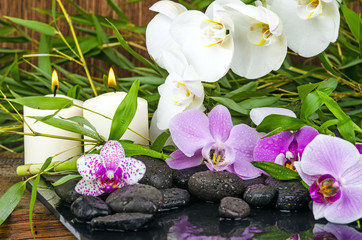 Wellness: Orchideen, Bambus, Steine, Wasser, Kerzenlicht