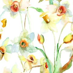 Photo sur Plexiglas Narcisse Narcissus flowers