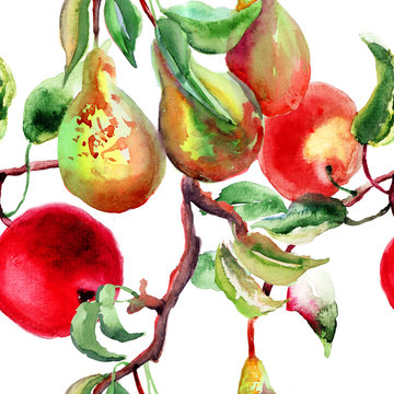 Watercolor Illustration of pears and apple