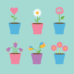 Set of six flowers in pots. Blue background. Card