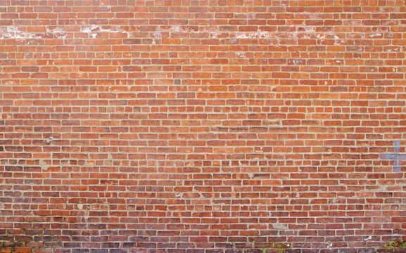 Fototapeta brick wall