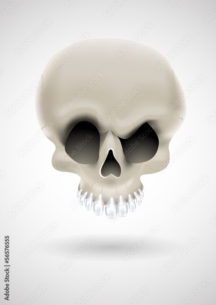 Wall mural vector cartoon skull with silver teeth