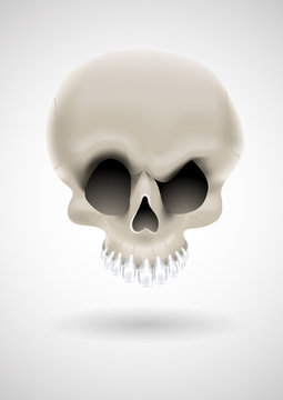 vector cartoon skull with silver teeth
