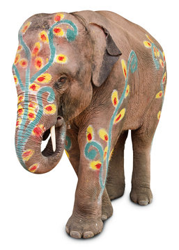 A painted elephant at the songkran festival in ayuthaya ,thailan