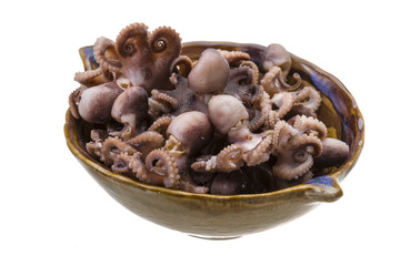 Boiled Octopus