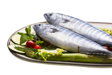 Fresh Atlanticmackerel