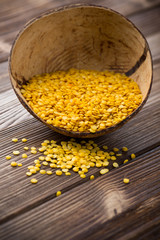Lentil.