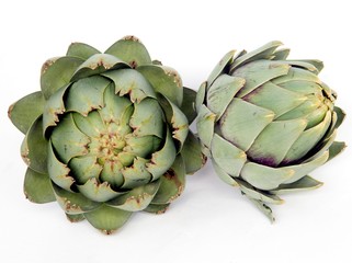 Obraz premium green edible sprouts of artichoke