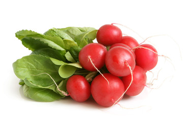 Fresh radishes
