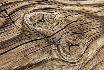 holzmaserung