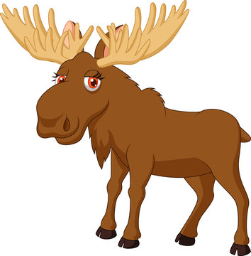 Cute moose cartoon