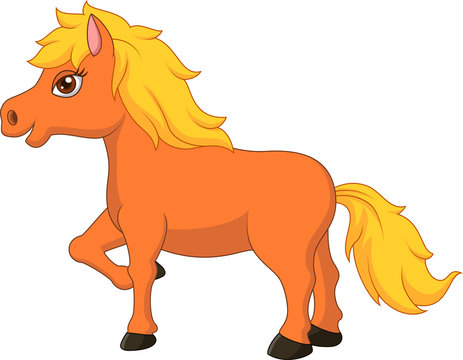 Cute pony horse cartoon