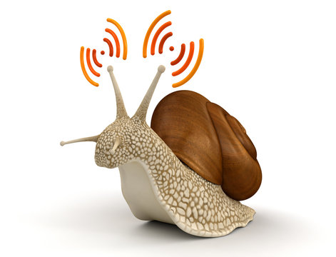 Snail and Wireless Symbol (clipping path included)