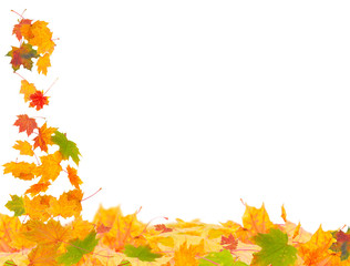 Naklejka na ściany i meble Latanie Autumn Leaves