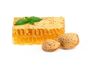 Honey in the comb with almonds and a sprig of mint