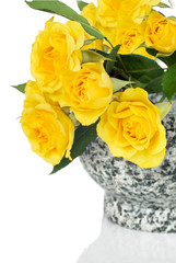 yellow roses