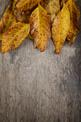 autumn leaves on wood surface