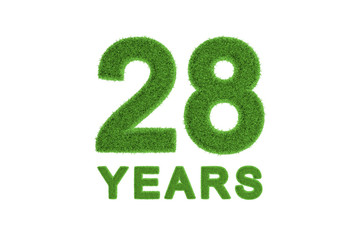 28 Years green grass anniversary numbers
