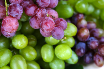 Ripe green and purple grapes close-up background
