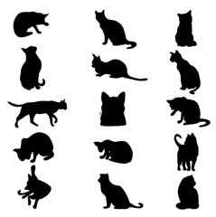 Cat silhouette - Vector illustration