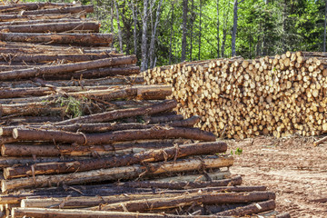 Log Stacks