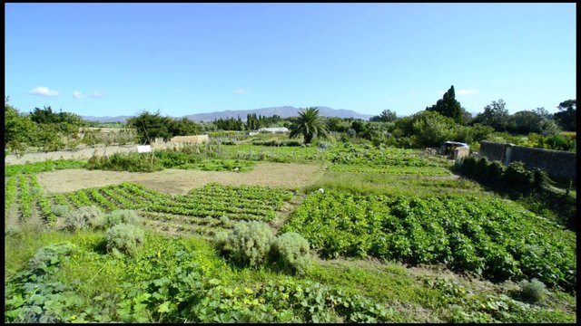 cultivo minufundio peque&ntilde;o