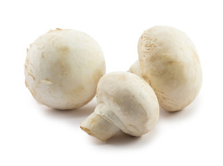 mushrooms