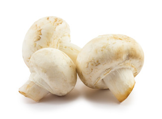mushrooms