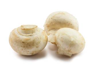 mushrooms
