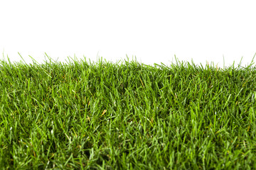 Green grass background