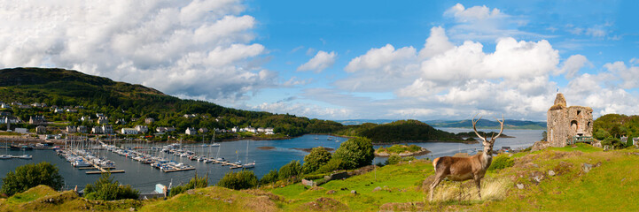 Fototapeta premium Tarbert Castle and harbor with Red deer in front