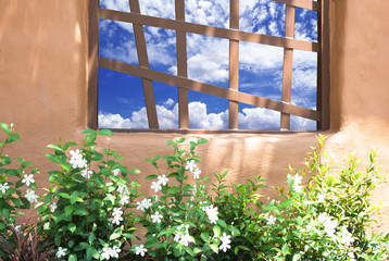 blue sky inside wooden window with green branch