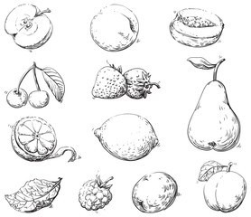 Vector set of fruits at engraving style