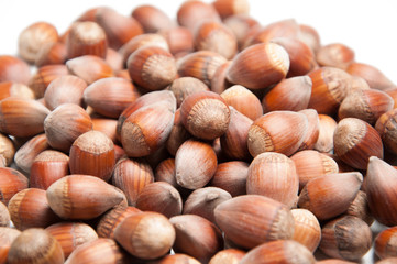 Hazelnut on isolated white