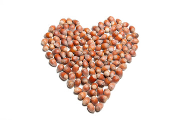 Hazelnut on isolated white