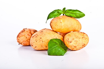 Little yellow patatos sliced on pure white background 