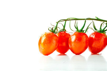 fresh tomatoes 