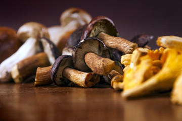 Fresh mushrooms