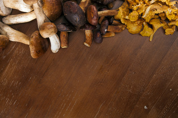 Fresh mushrooms
