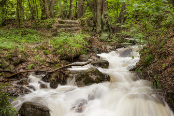 Wanderweg mit Bach im Harz bei Thale