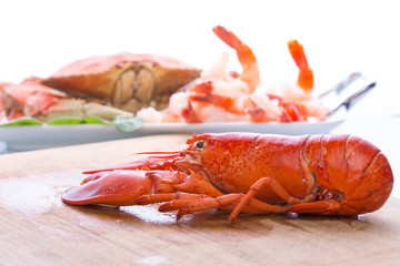 Prepearing Dungeness Crab and Red Lobster