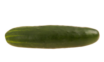 Large Cucumber