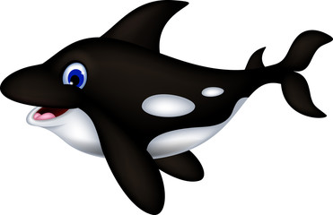 killer whale cartoon
