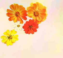 Greeting card with bouquet of zinnias