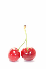 cerises