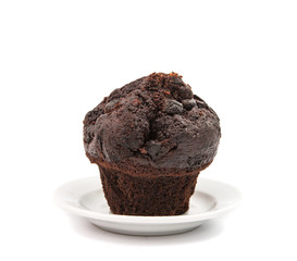 chocolate muffin isolated