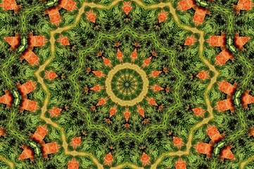 Kaleidoscop/Mandala-Muster © pASob